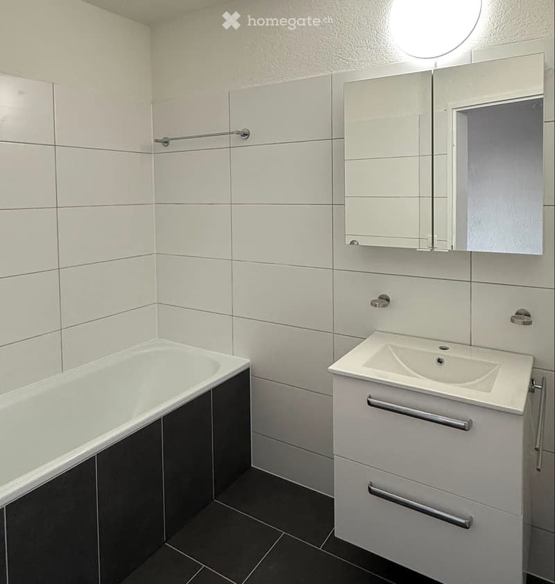 Erstbezug nach Totalsanierung  2.5-Zimmer-Wohnung (4)