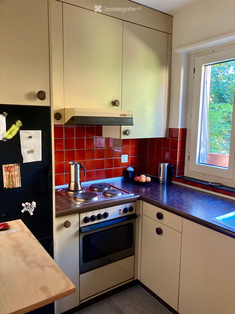 1.5 Zi.-Wohnung Nidau Strandbad (3)