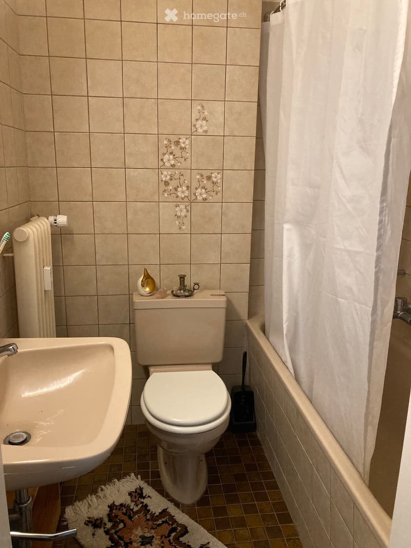 1.5 Zi.-Wohnung Nidau Strandbad (2)