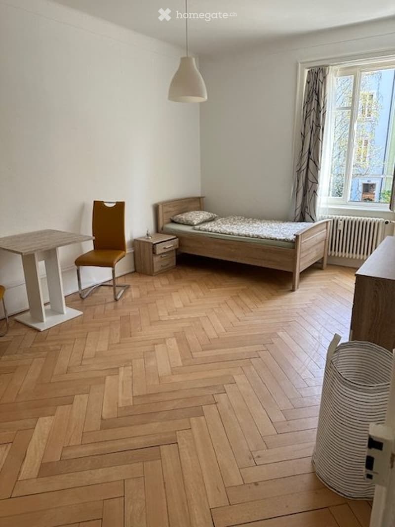 Grosses, möbliertes WG Zimmer Basel, St. Johann (1)