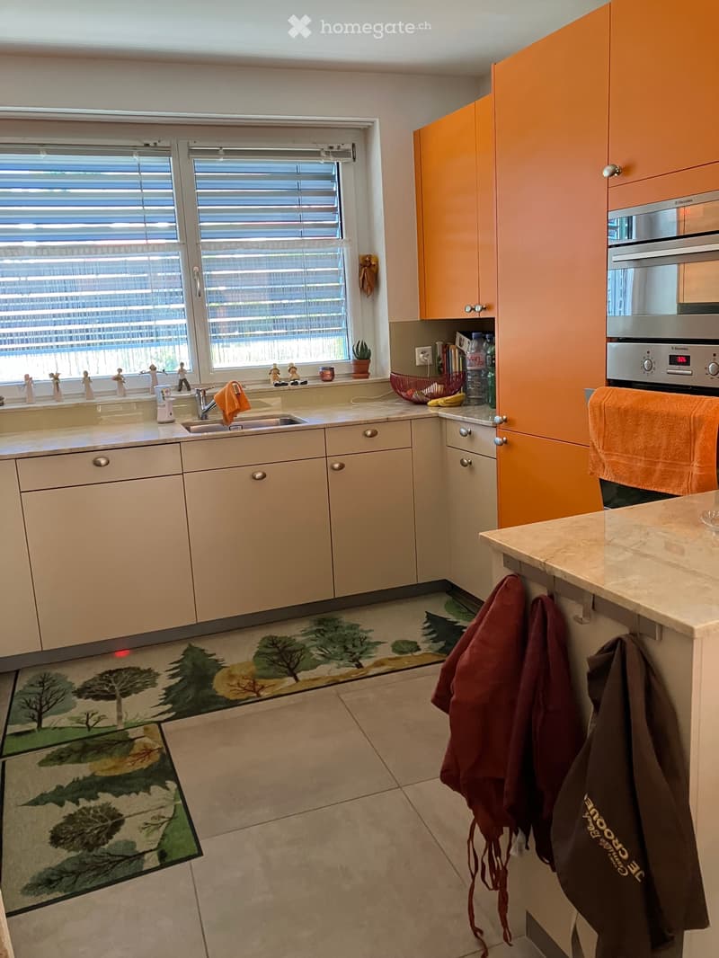 Attika Wohnung (2)
