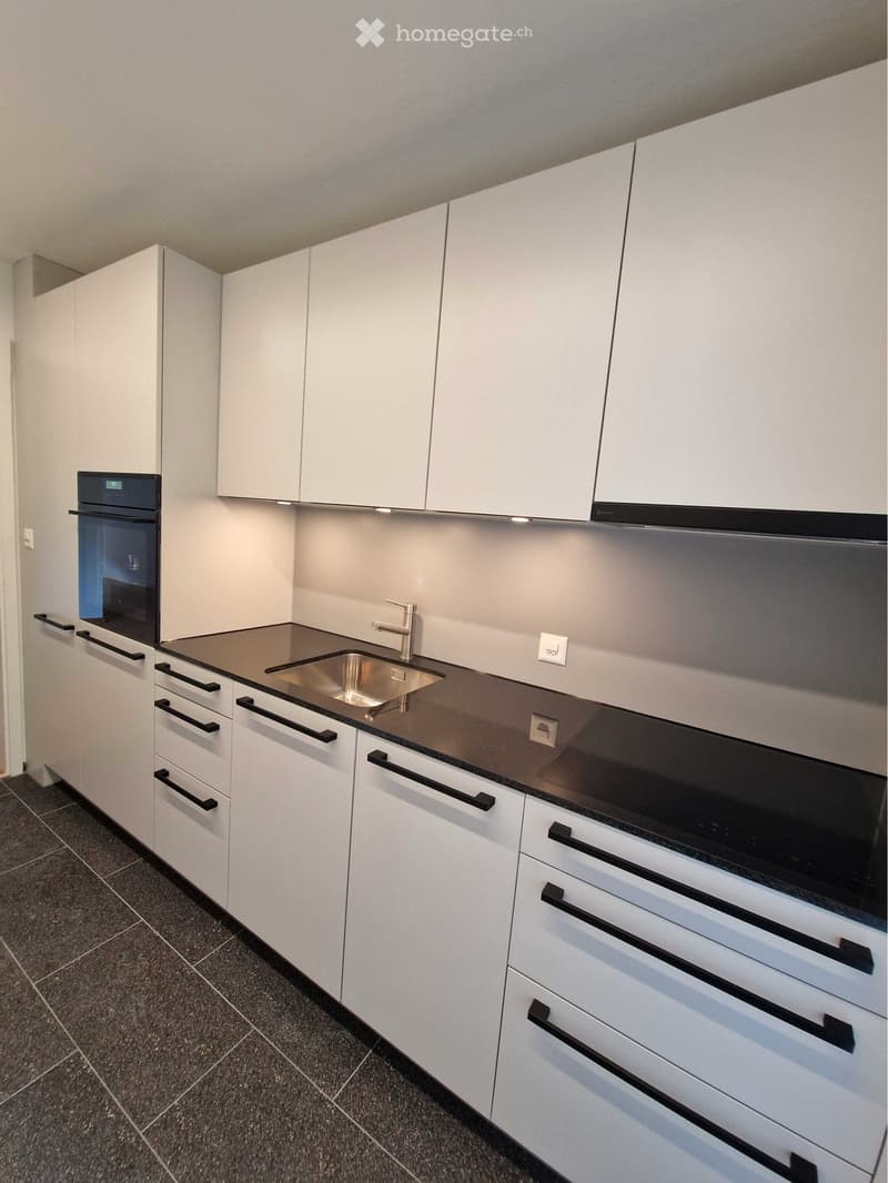 3.5 Zimmerwohnung im Fischermätteli (1)