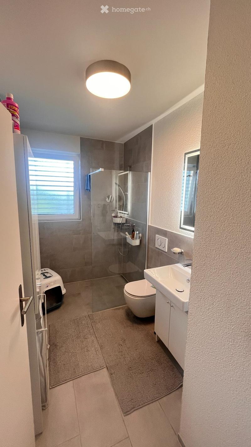 Lichtdurchflutete Wohnung in 5612 Villmergen (4)