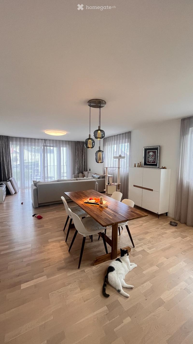 Lichtdurchflutete Wohnung in 5612 Villmergen (3)
