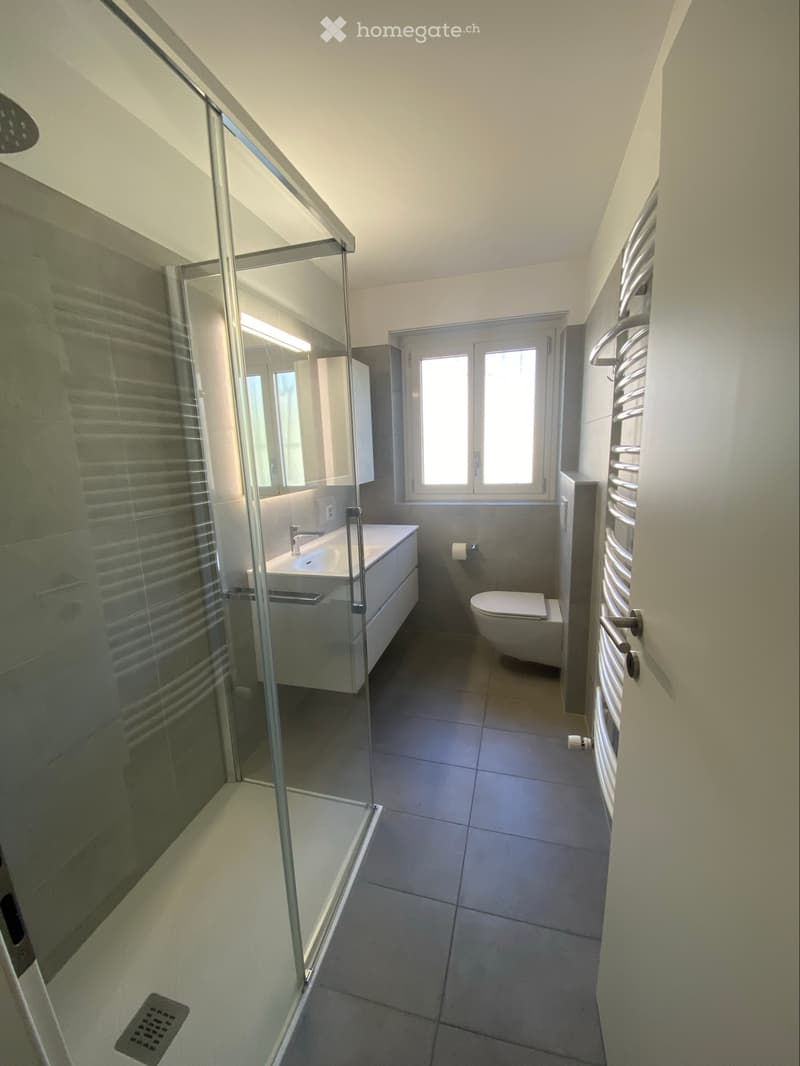 Appartamento di 3 locali e 1/2 in casa bifamiliare a Biasca (2)