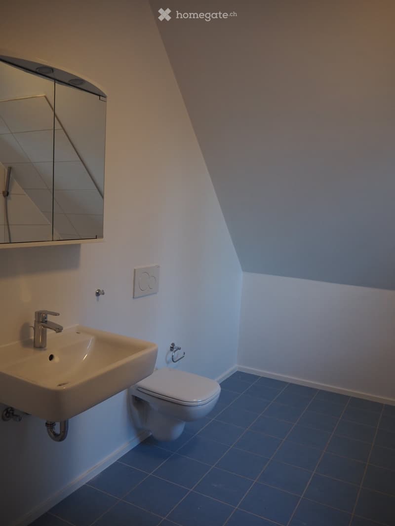 Moderne 3.5 Zimmer-Dachwohnung mit Innenhof (3)