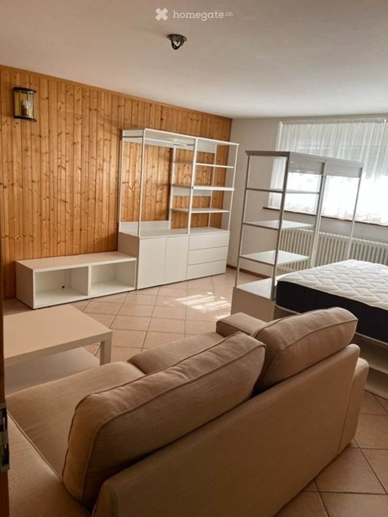 Appartamento arredato di 2 locali in affitto a Massagno (2)