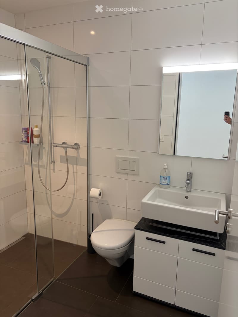 4.5 Zimmer Wohnung 6030 Ebikon (3)
