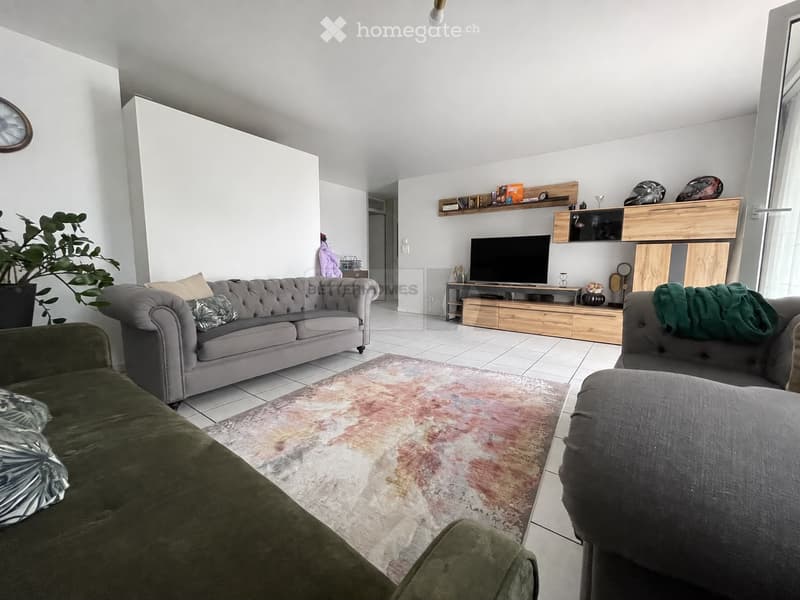 Parterre Wohnung 4.5-Zimmer in Lüchingen (2)