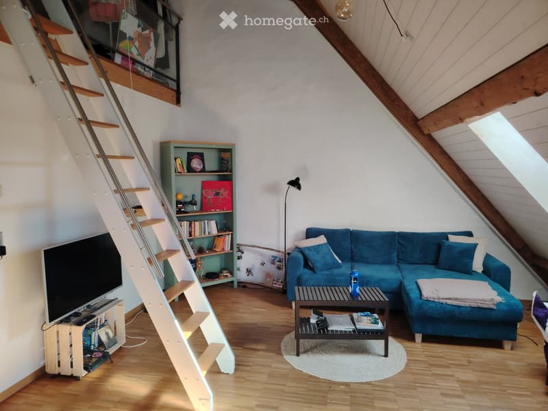 Heimelige 2.5 Zimmerwohnung sucht Nachmieter (1)