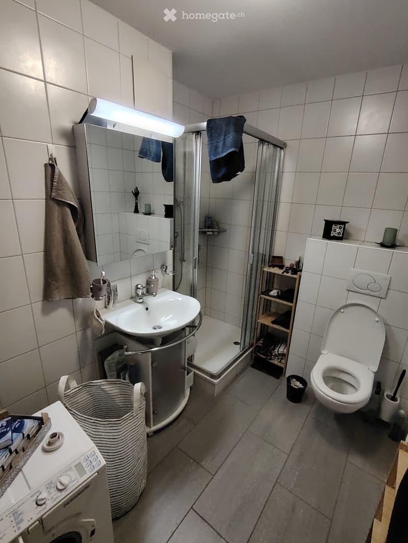 Heimelige 2.5 Zimmerwohnung sucht Nachmieter (4)