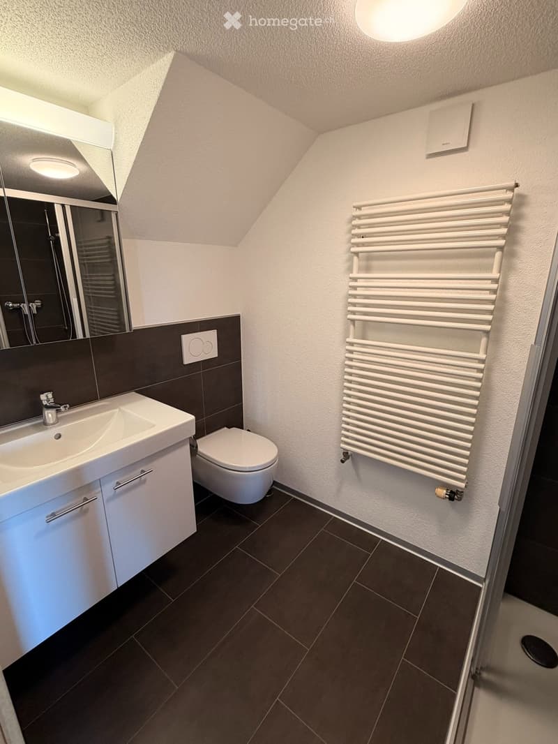 2 1/2-Zimmerwohnung (2)