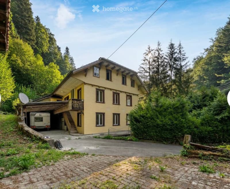 3,5 Zimmer Wohnung (1)