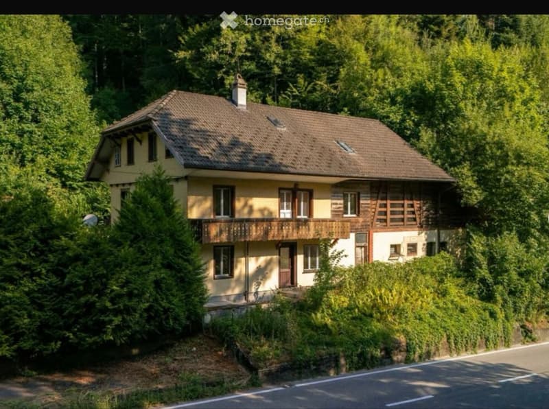 3,5 Zimmer Wohnung (3)
