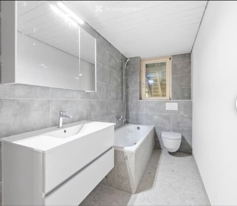 3,5 Zimmer Wohnung (2)