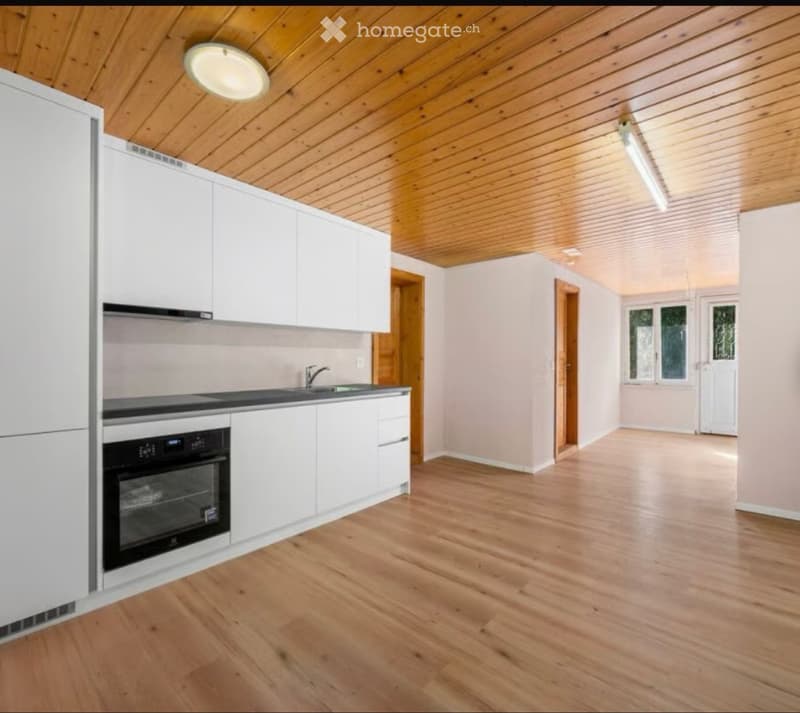 3,5 Zimmer Wohnung (4)