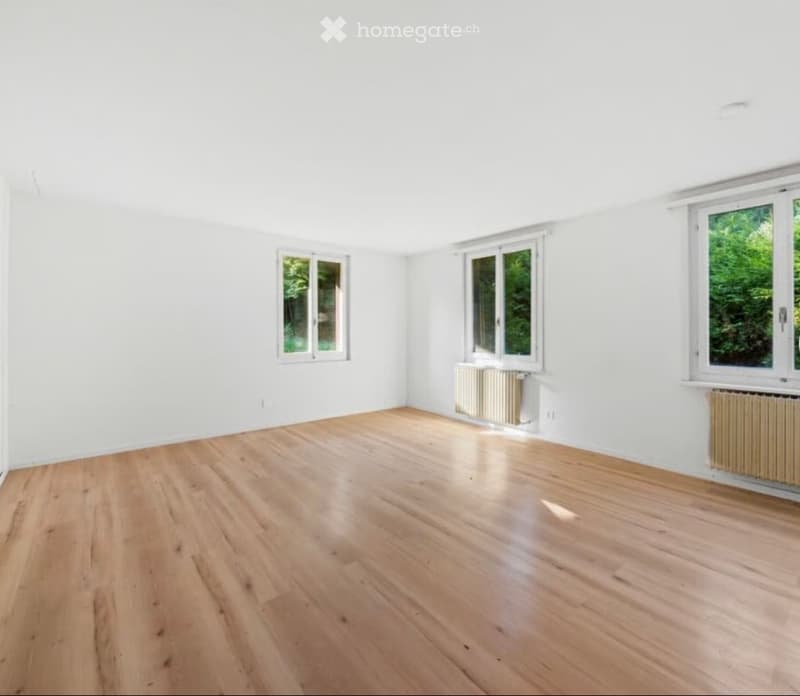 3,5 Zimmer Wohnung (5)