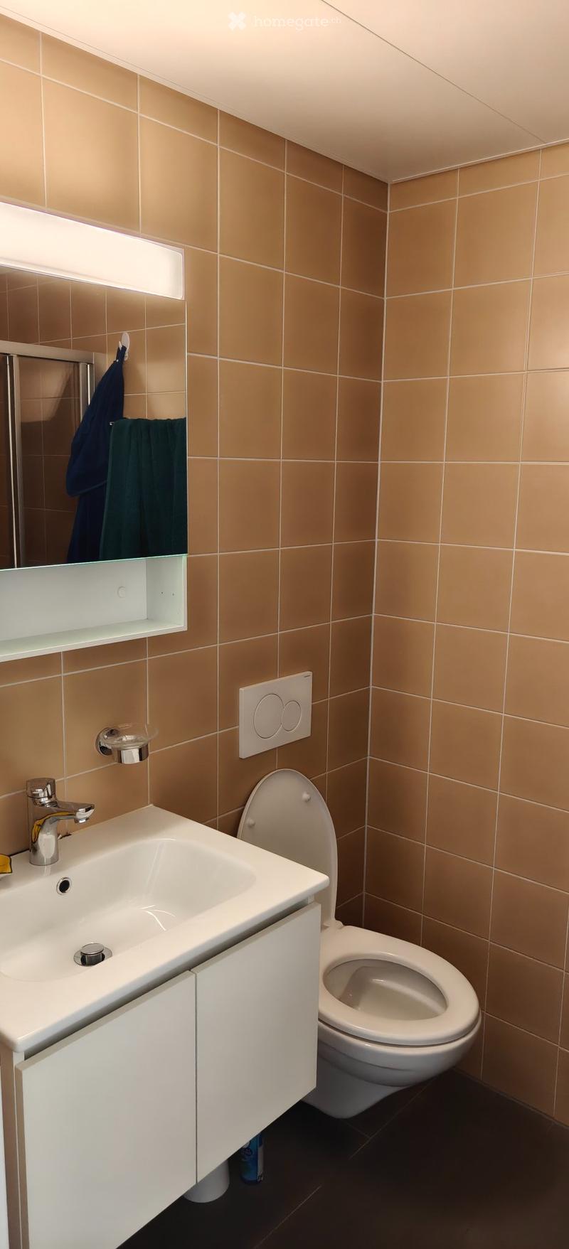Studio spacieux et meublé à Crissier, charges comprises (4)