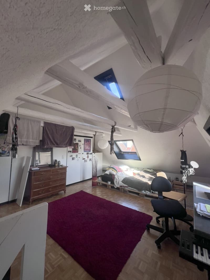 Duplex spacieux et plein de charme (5)