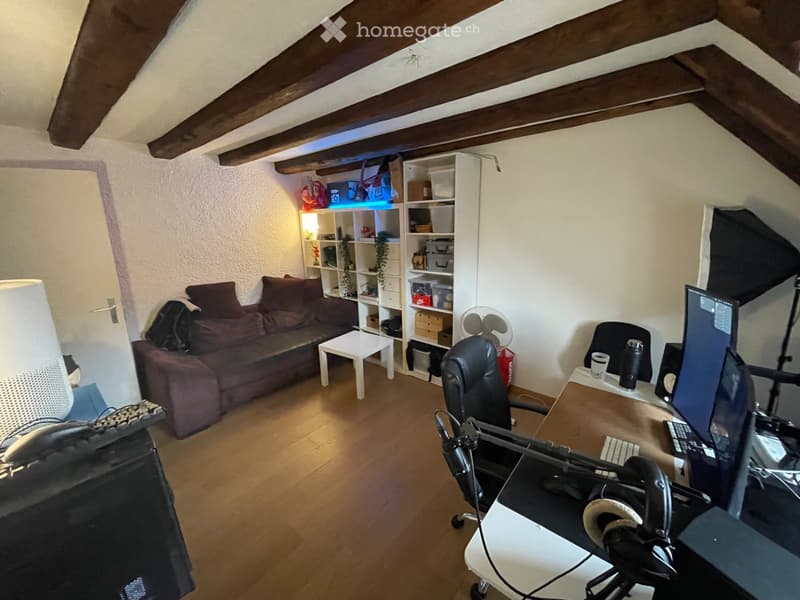 Duplex spacieux et plein de charme (3)