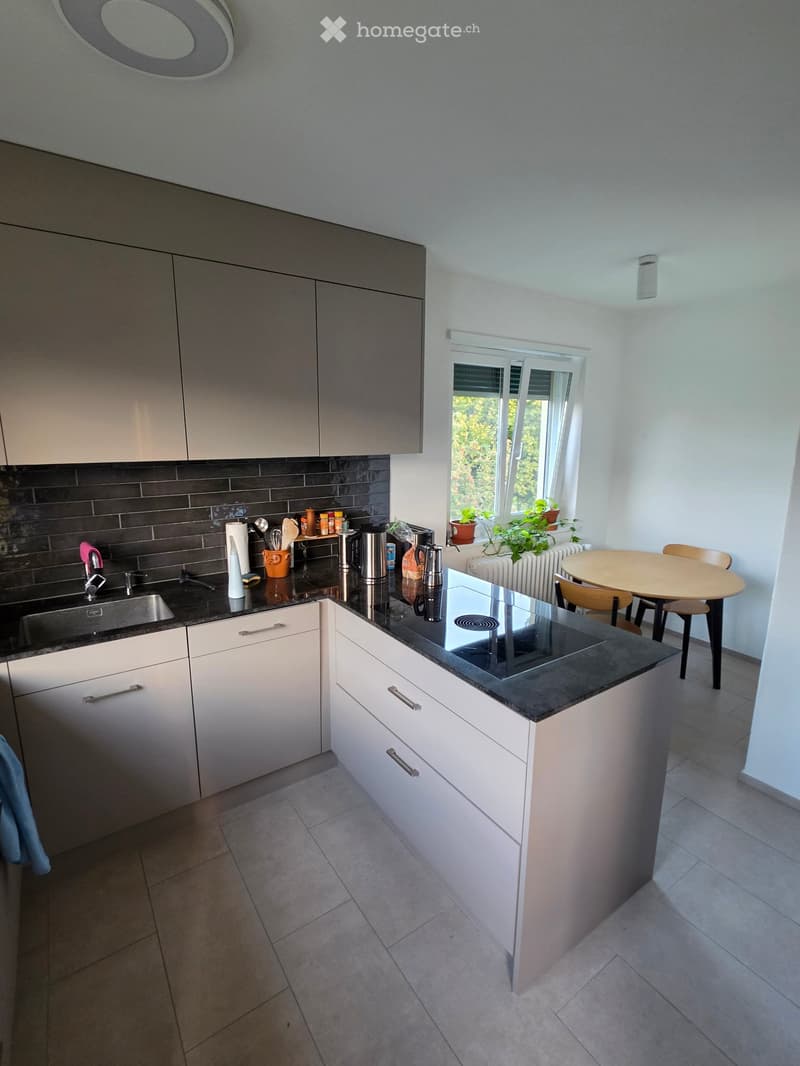 Schöne moderne 2.5 Zimmer Wohnung in Zürich Wiedikon (3)