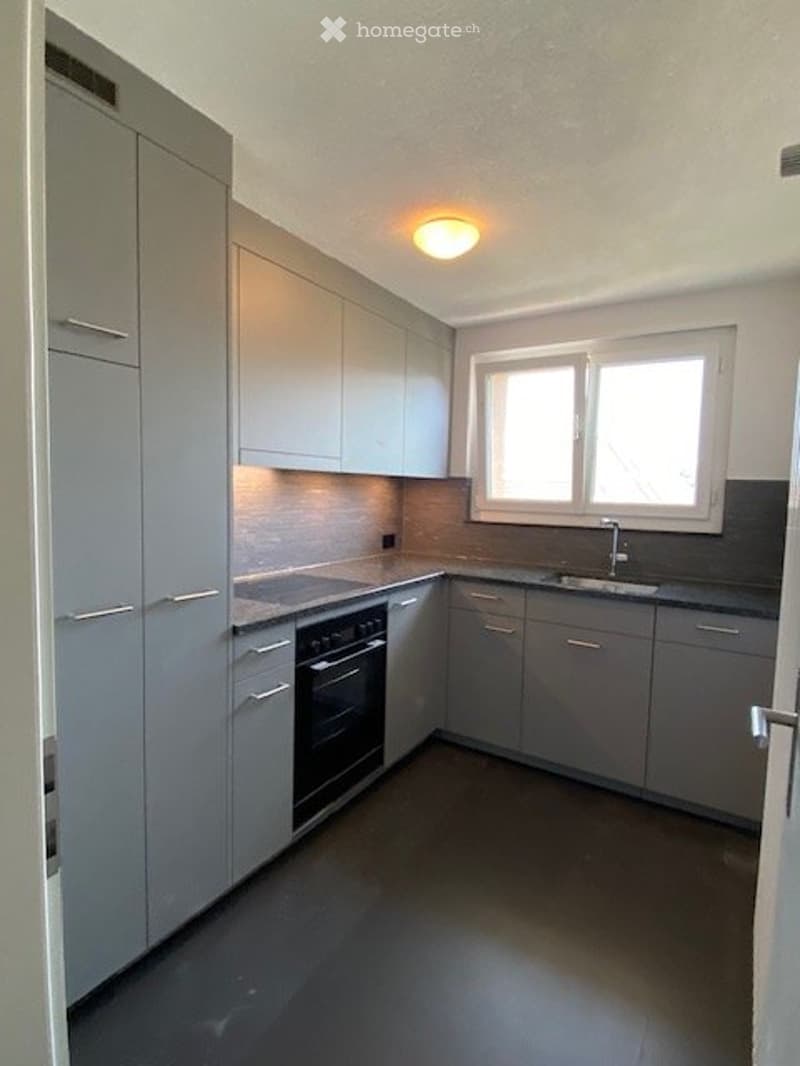 Renovierte 3- Zimmerwohnung mit Balkon, an ruhiger Lage. (3)