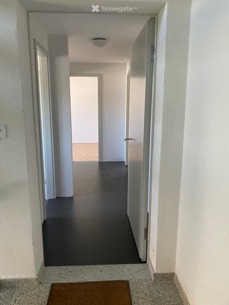 Renovierte 3- Zimmerwohnung mit Balkon, an ruhiger Lage. (2)
