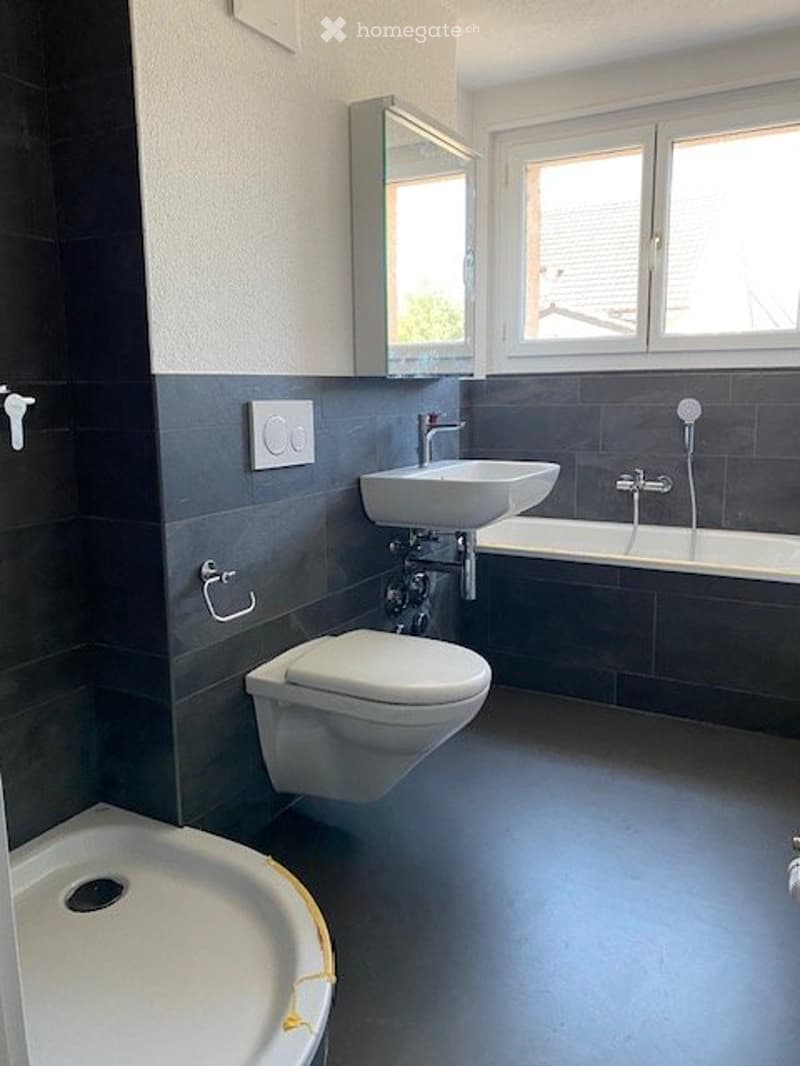 Renovierte 3- Zimmerwohnung mit Balkon, an ruhiger Lage. (4)
