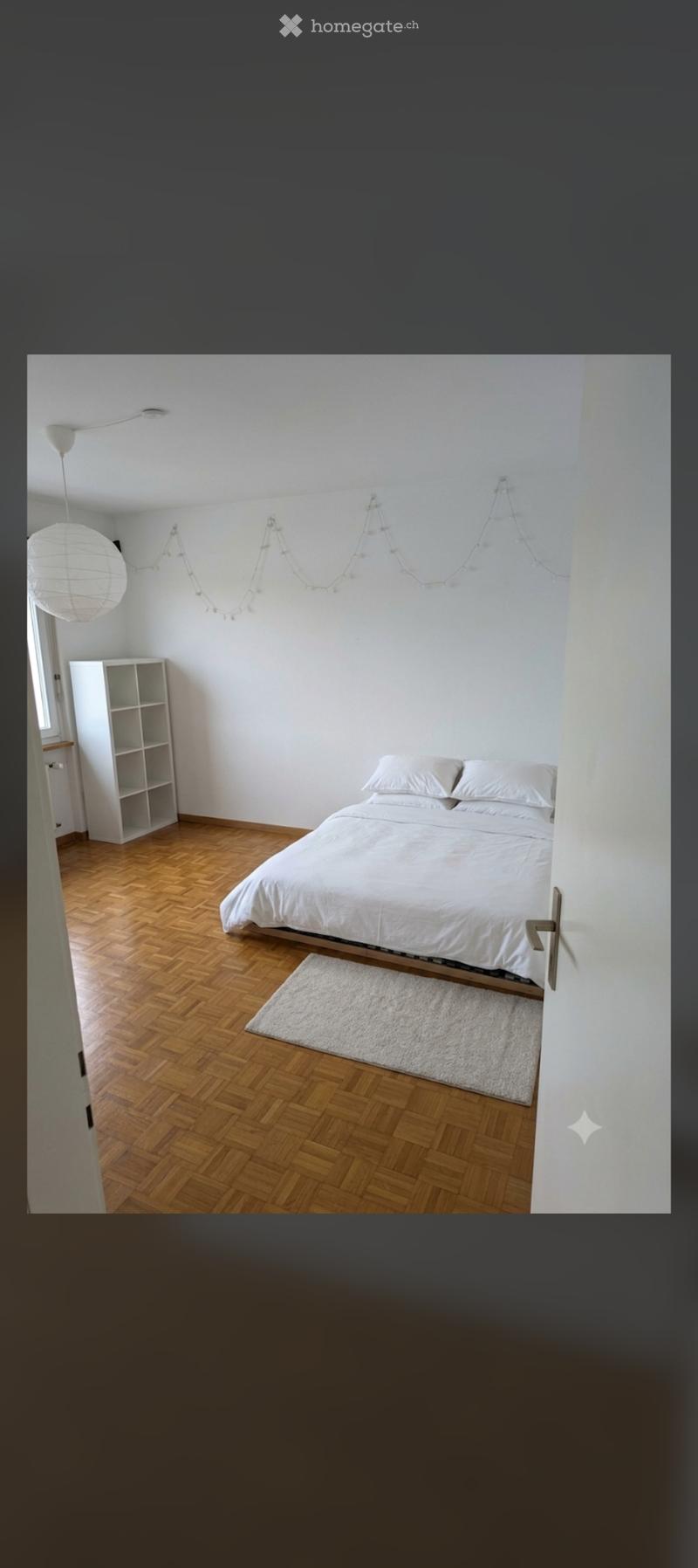 2,5 Wohnung (Vermietung) (2)