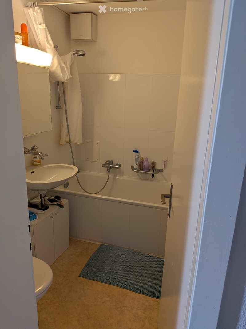 2,5 Wohnung (Vermietung) (1)