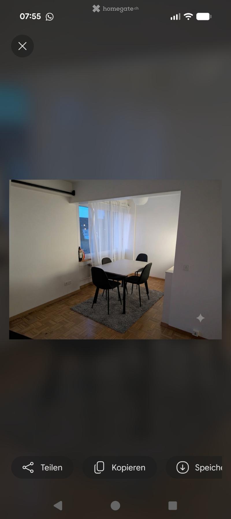 2,5 Wohnung (Vermietung) (4)
