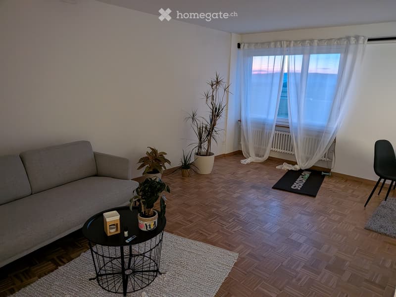 2,5 Wohnung (Vermietung) (5)