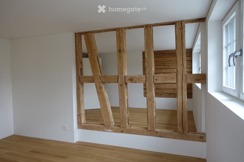 Charmante Altbauwohnung EG/UG mit Sitzplatz (1)
