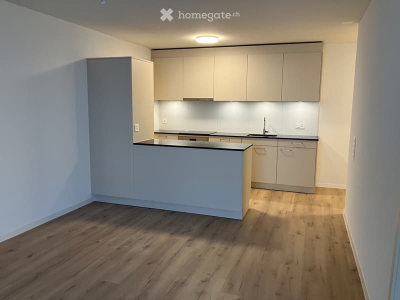 2½ Zimmer Wohnung Parterre mit Sitzplatz (1)