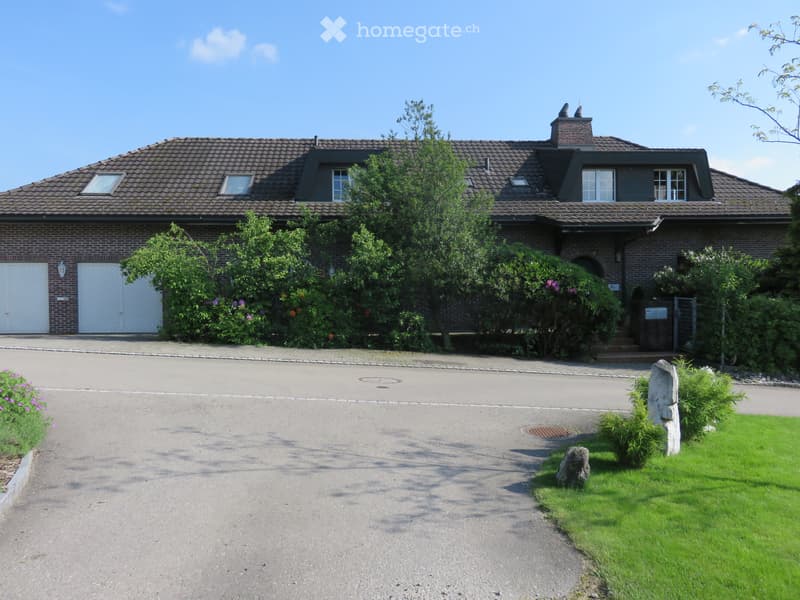 Sehr grosse Dachwohnung mit Gartenanteil (5)