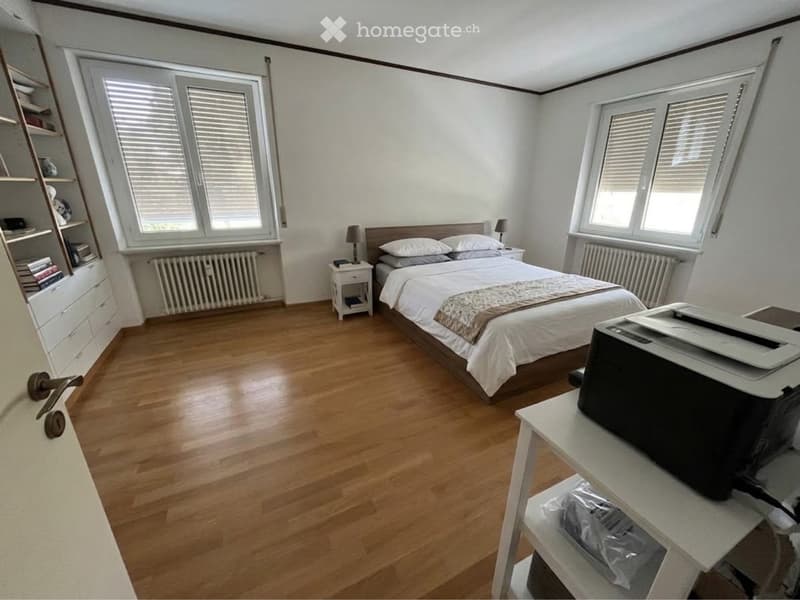 Affittasi 3.5 con Giardino (8)