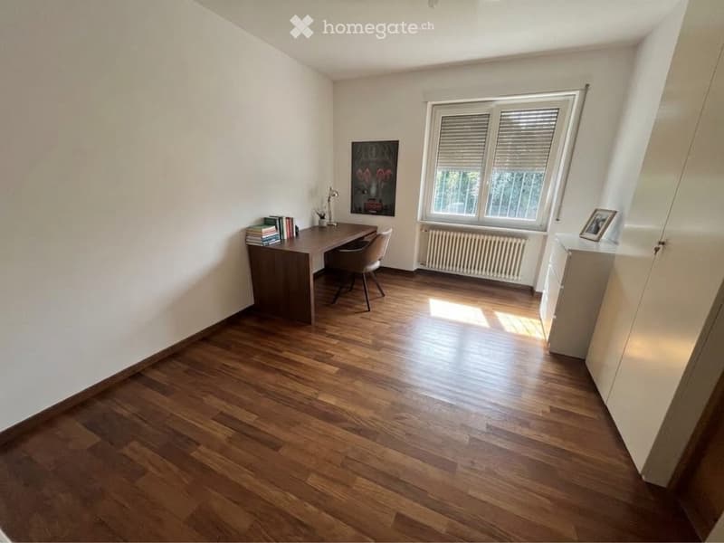 Affittasi 3.5 con Giardino (5)