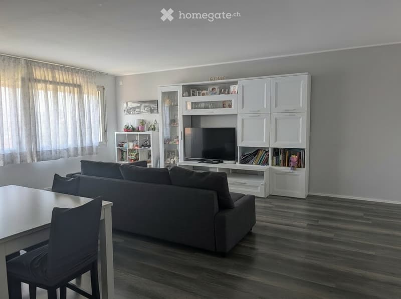 Splendido appartamento a Morbio Inf con vista Panoramica (3)