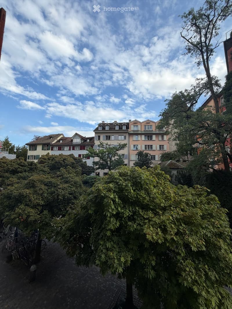60 m² Neubau-Studio mit 4 m hohen Decken (4)