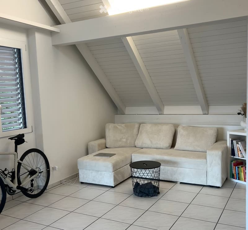 4.5 Zimmer Wohnung in Sins (3)