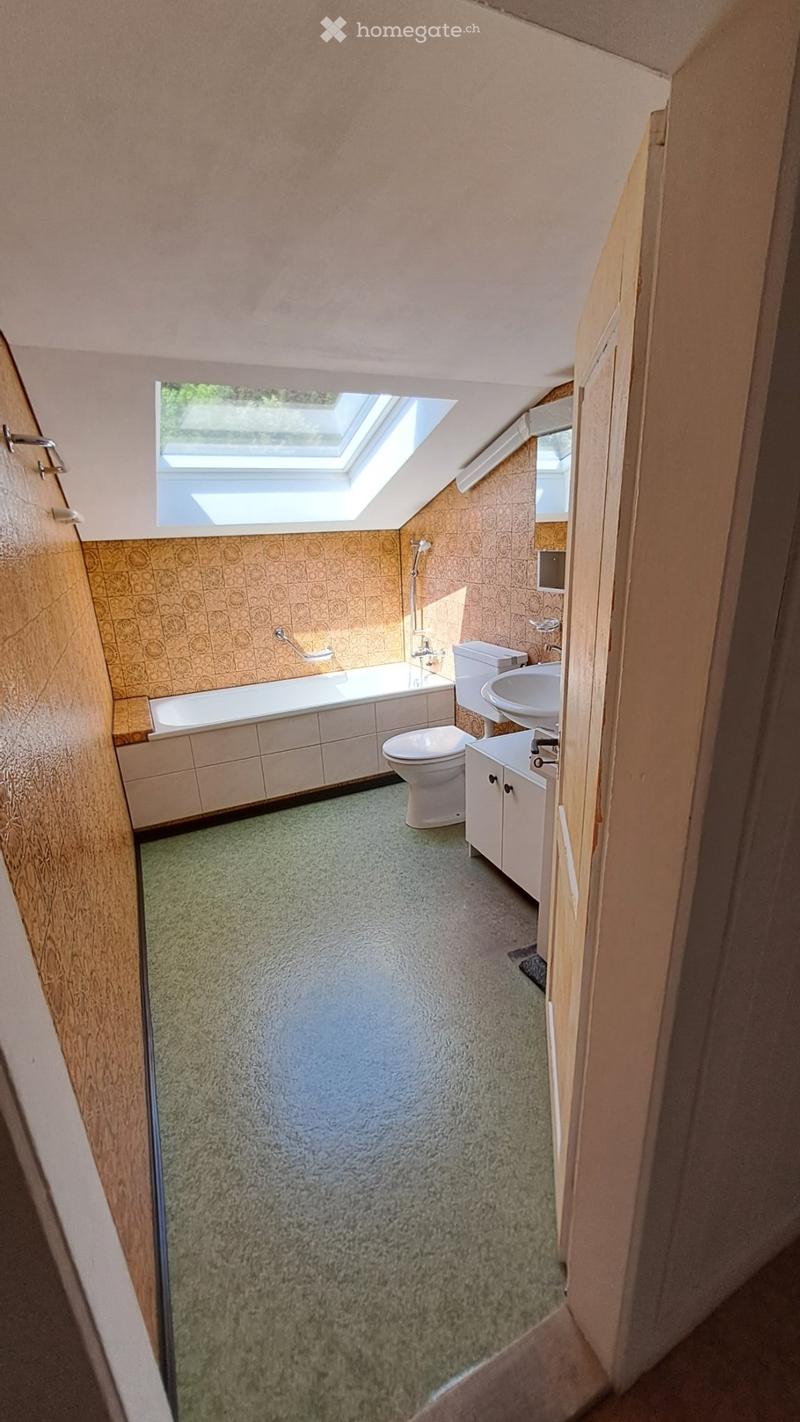 3,5 Zimmerwohnung (3)
