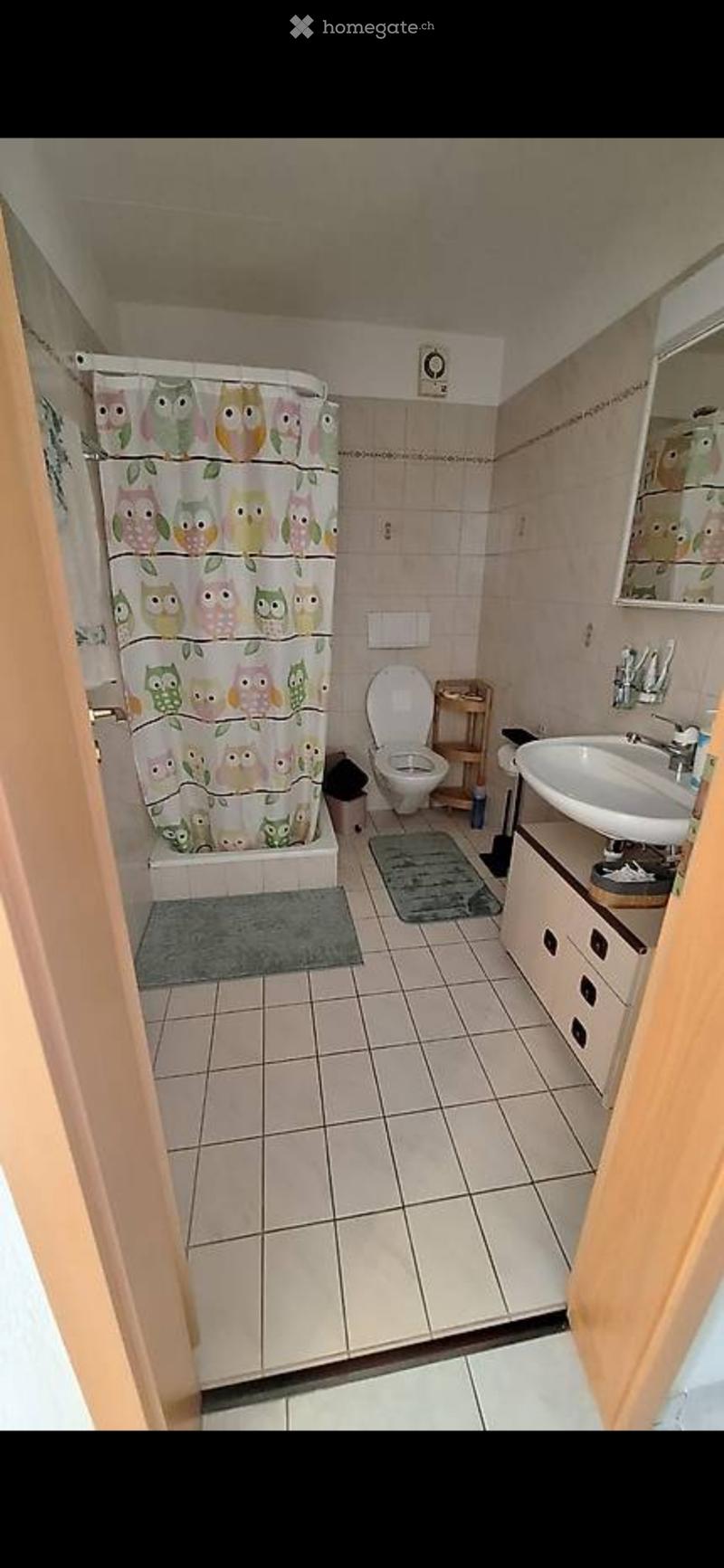 Brissago Ferienwohnung für Dauermiete, Seesicht (1)