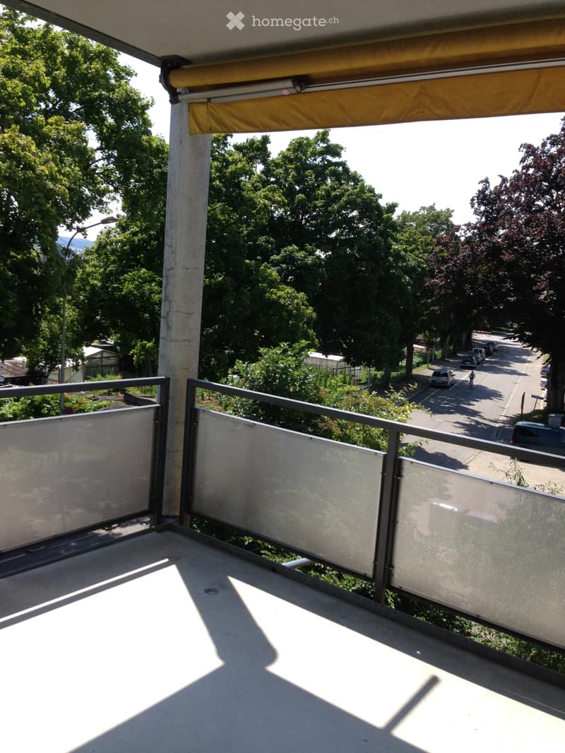 Wohnung zu vermieten (2)