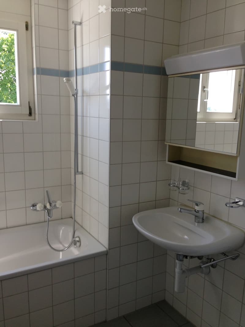 Wohnung zu vermieten (1)