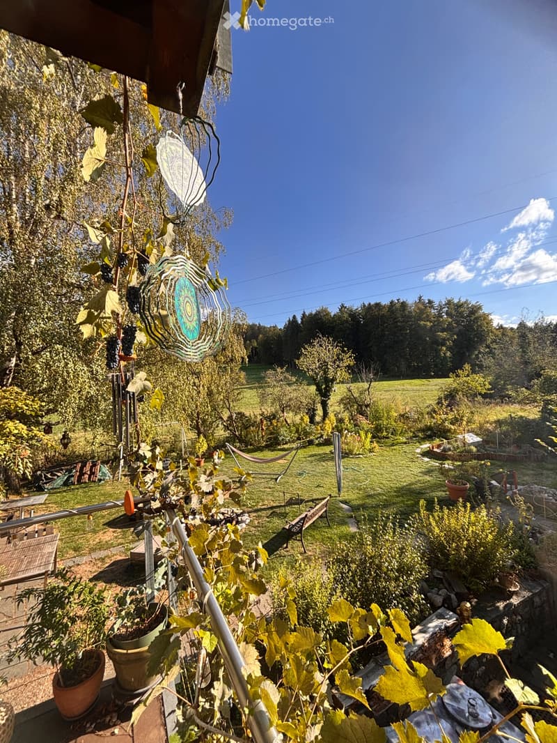 Zimmer in grüner Oase (1)