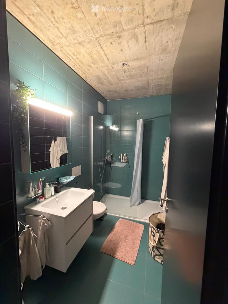 Appartamento 2.5, Residenza al Pianton (4)