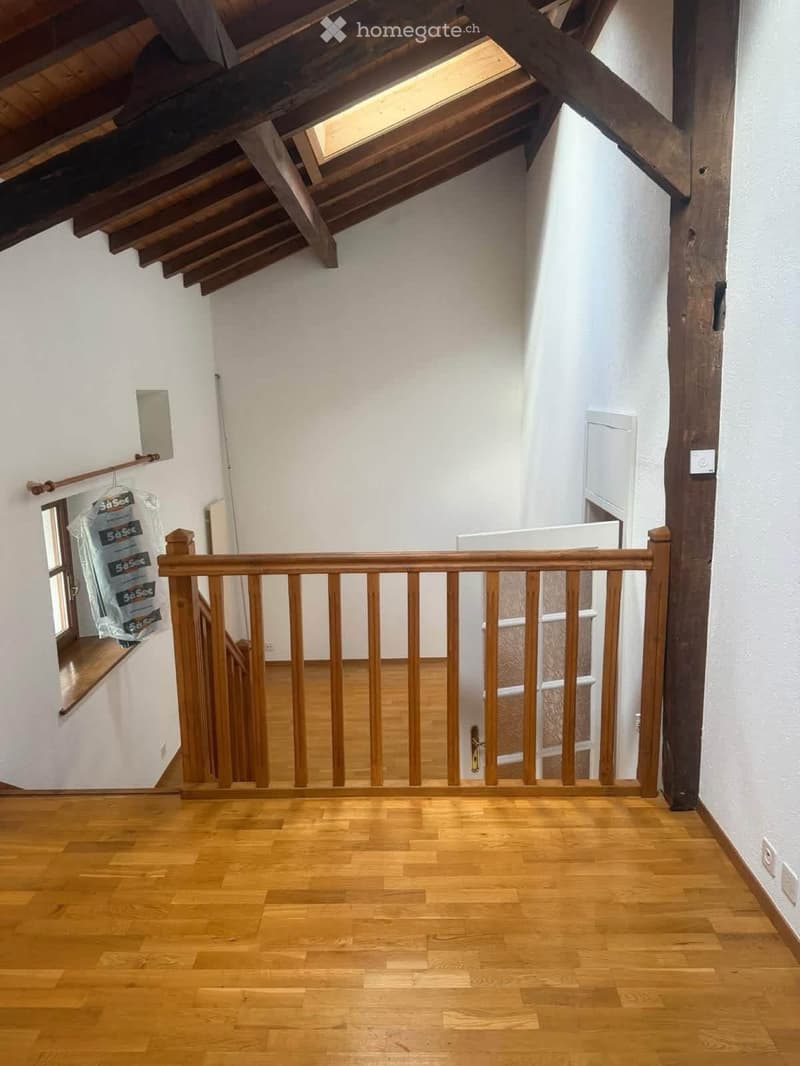 Appartement, duplex Chancy (3)