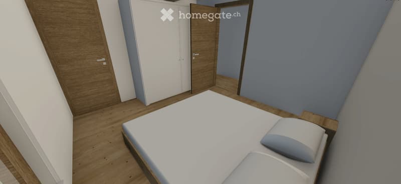 Appartement de 4,5 pièces entièrement rénové à Lens (3)