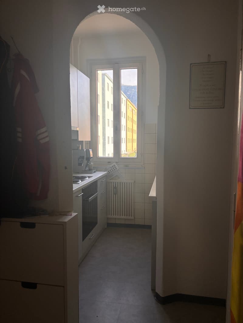 Cerco subentrante a Bellinzona (1)