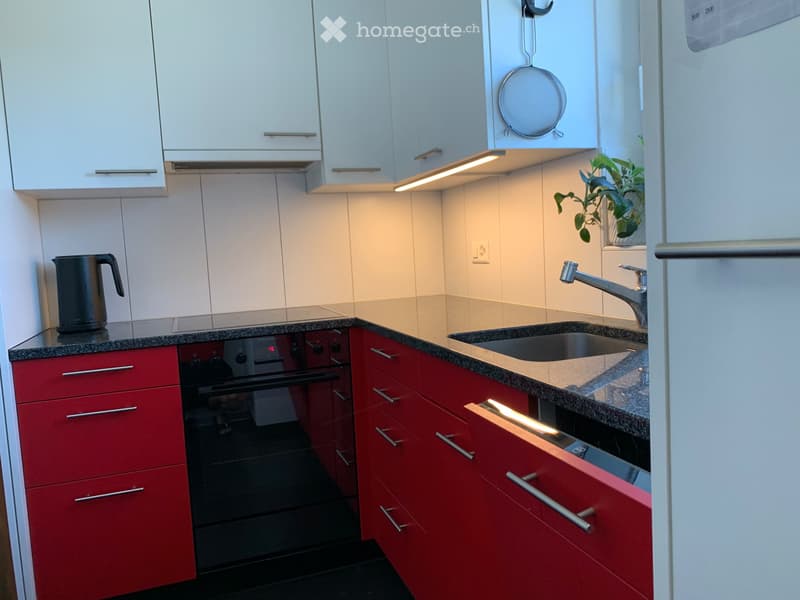 Helle 4 Zimmer Wohnung in Ostermundigen (2)